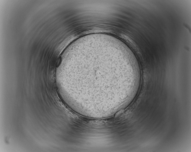 X0000099481185200806061238