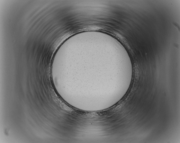 X0000099481186200806061238