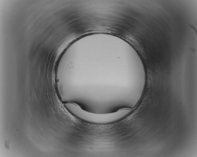 X0000099481188200806061238