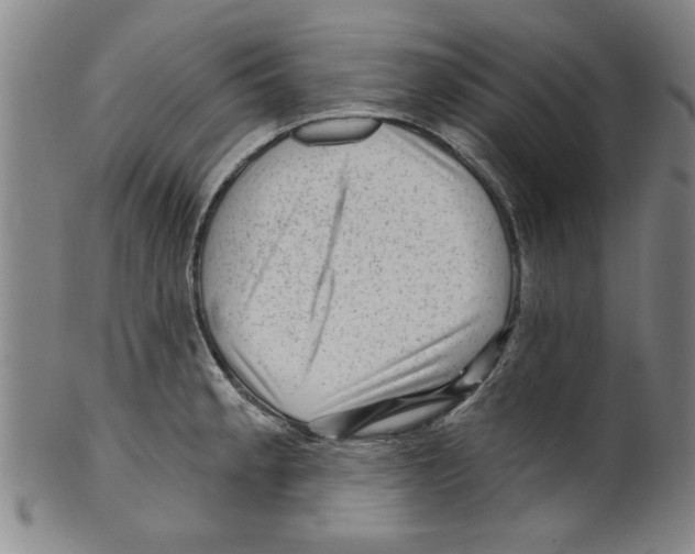 X0000099481189200806061238