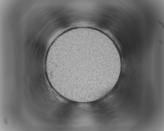 X0000099481191200806061238