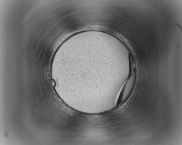 X0000099481192200806061238