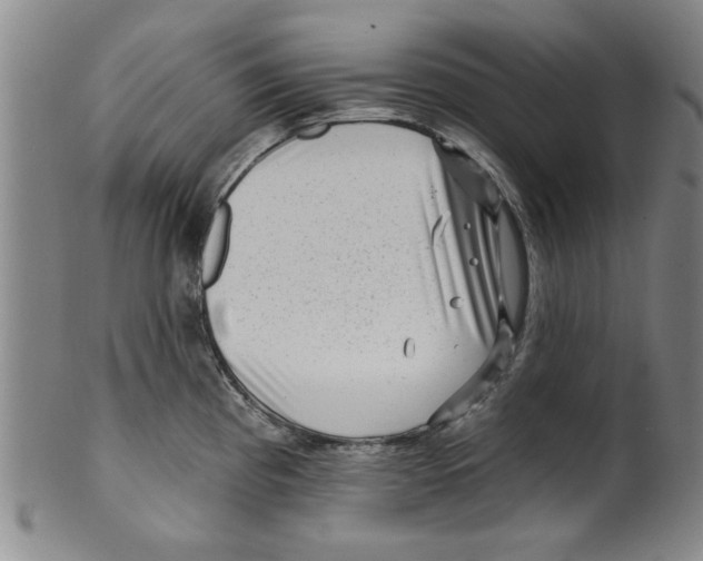 X0000099481193200806061238