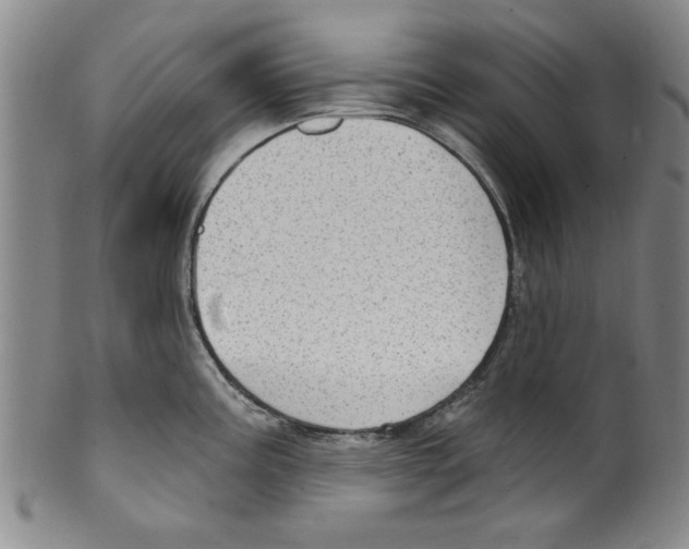 X0000099481195200806061238