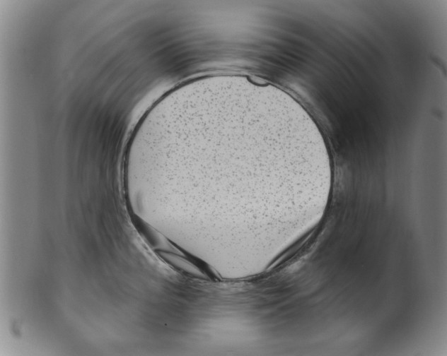 X0000099481196200806061238