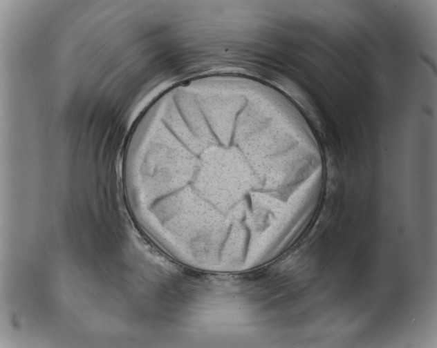 X0000099481198200806061238