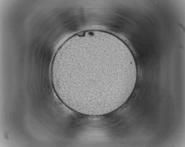X0000099481199200806061238