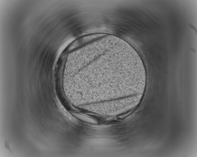 X0000099481200200806061238