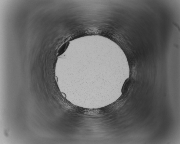 X0000099481201200806061237