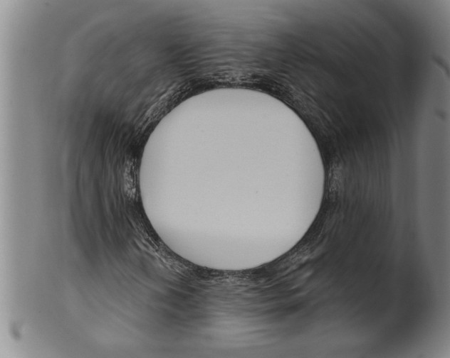 X0000099481202200806061237