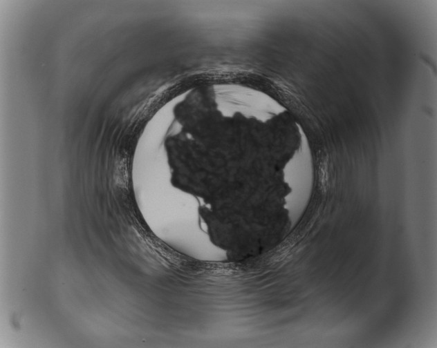 X0000099481204200806061237