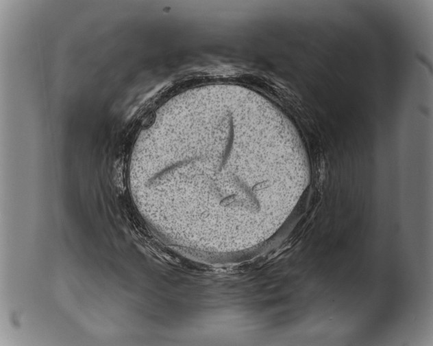X0000099481205200806061237