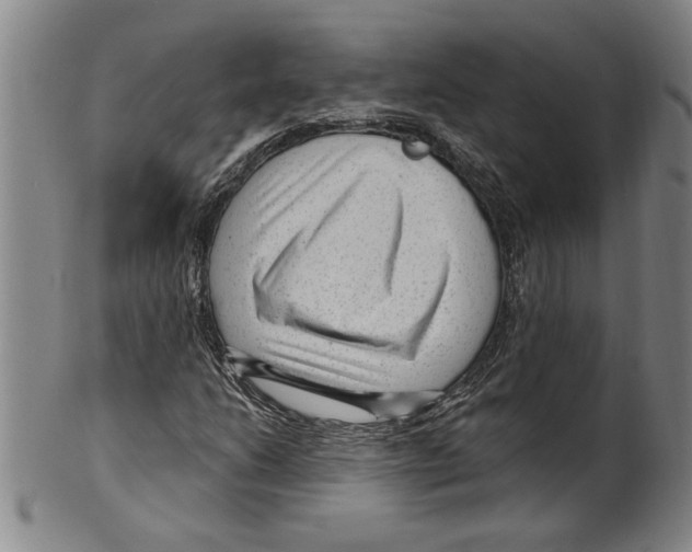 X0000099481206200806061237