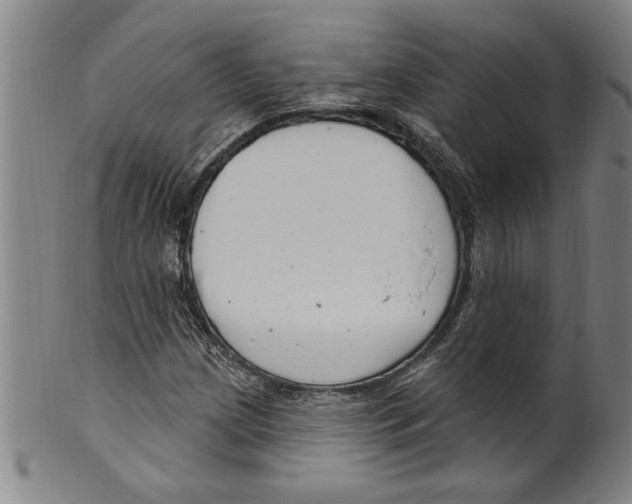 X0000099481209200806061237