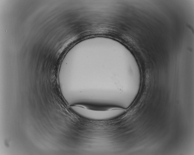 X0000099481210200806061237