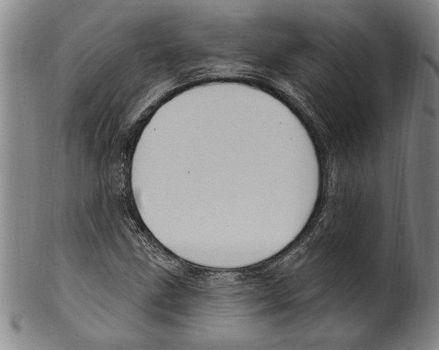 X0000099481211200806061237