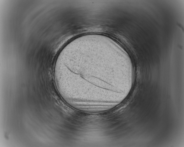 X0000099481212200806061237