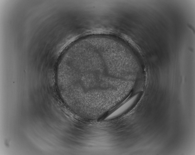 X0000099481213200806061237