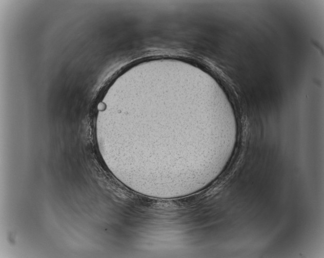 X0000099481215200806061237