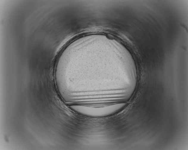 X0000099481216200806061237