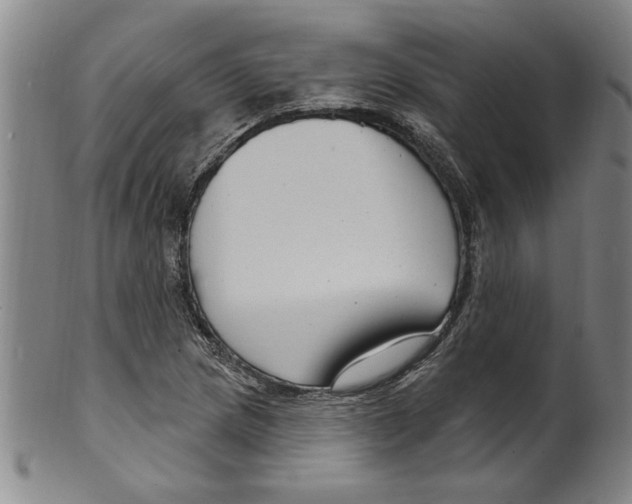 X0000099481217200806061237