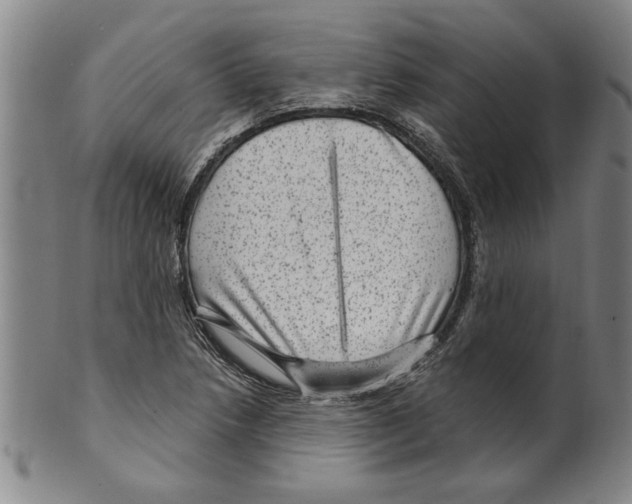 X0000099481218200806061237