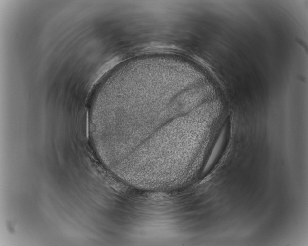 X0000099481219200806061237
