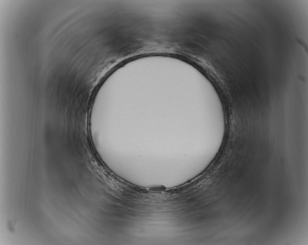 X0000099481220200806061237