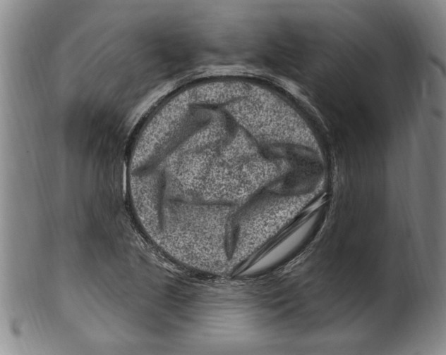 X0000099481221200806061237