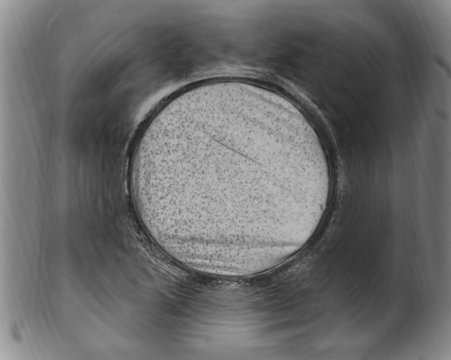 X0000099481222200806061237