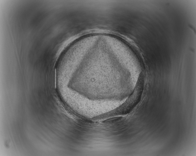 X0000099481223200806061237