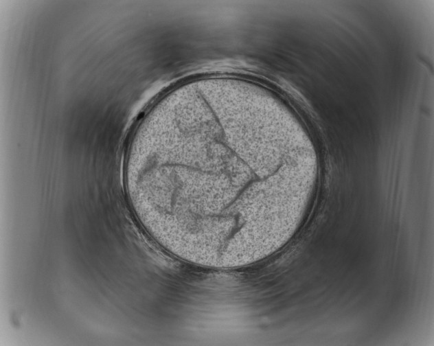 X0000099481224200806061237