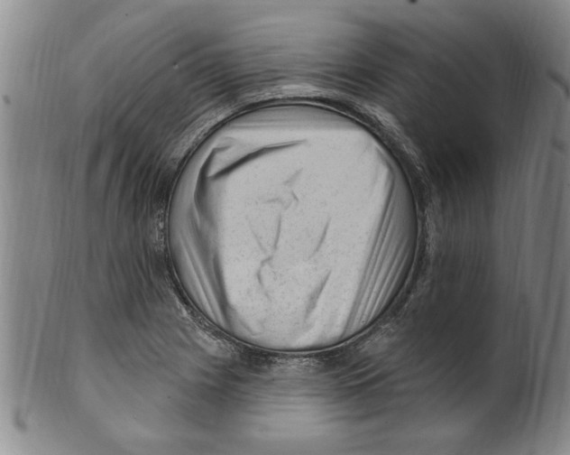 X0000099481225200806061237