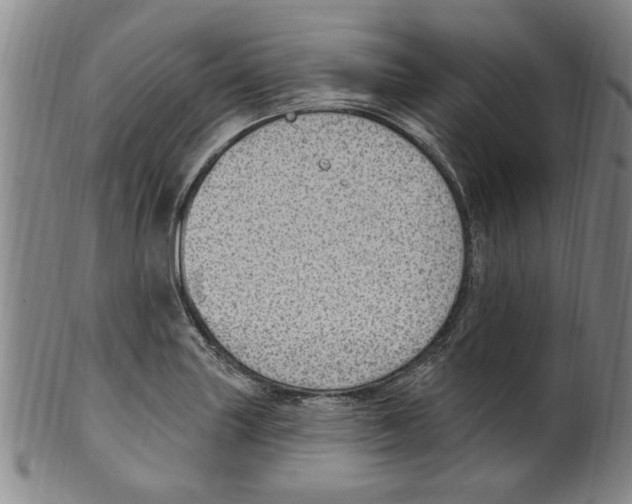 X0000099481227200806061237