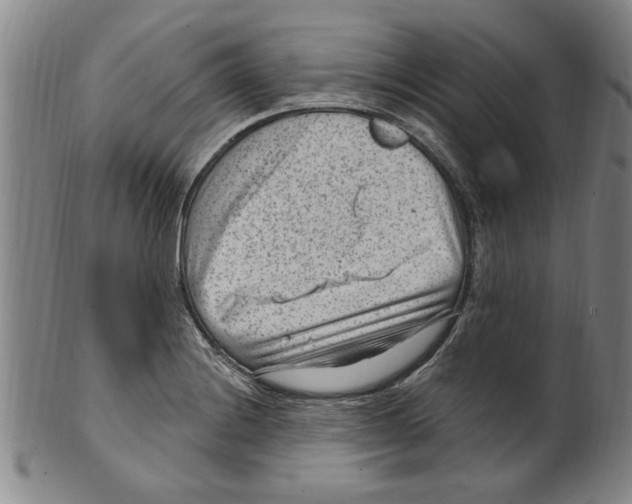 X0000099481228200806061237