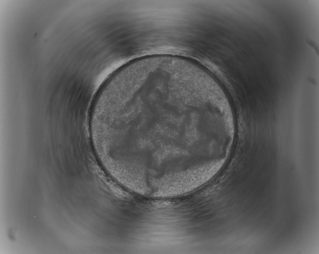 X0000099481230200806061237