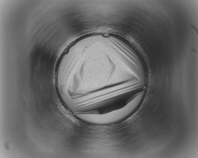 X0000099481232200806061237