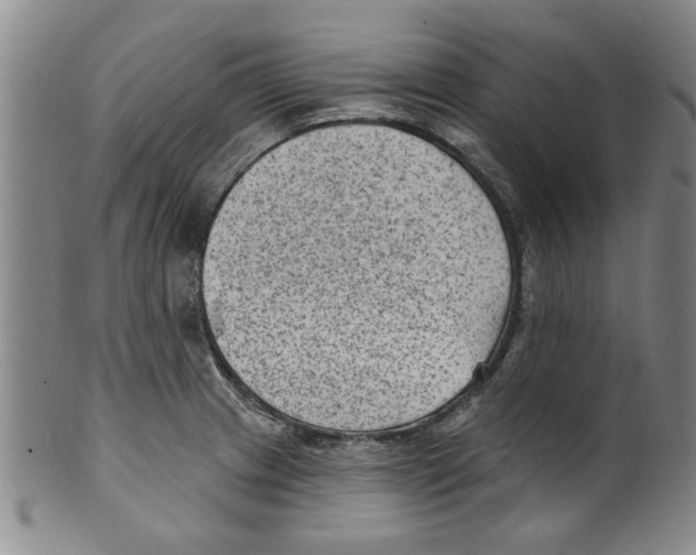 X0000099481233200806061237