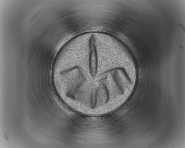 X0000099481234200806061237