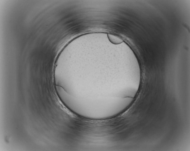 X0000099481236200806061237