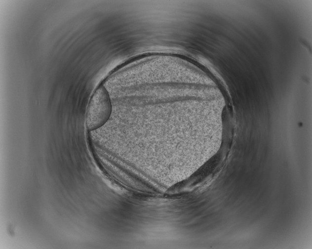X0000099481237200806061237