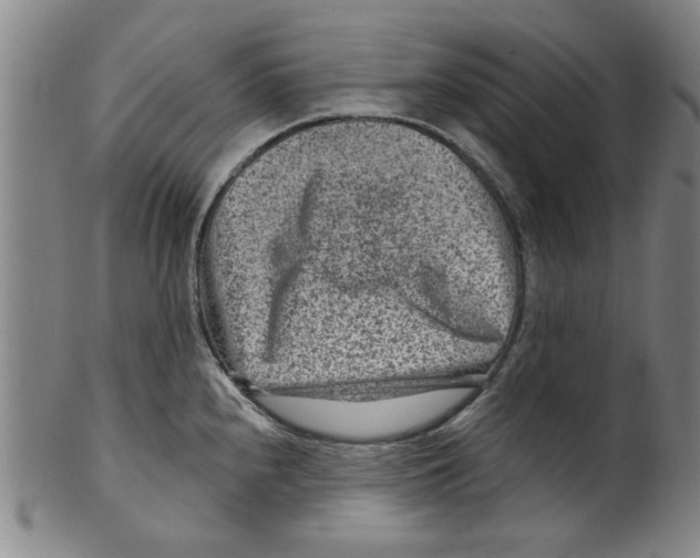 X0000099481240200806061237