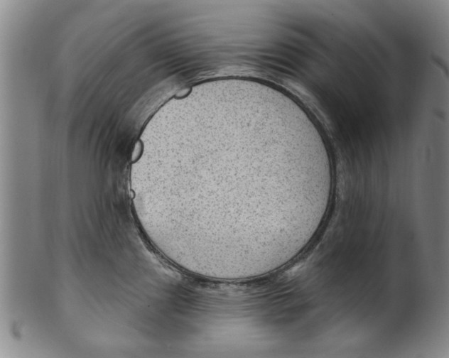X0000099481241200806061237