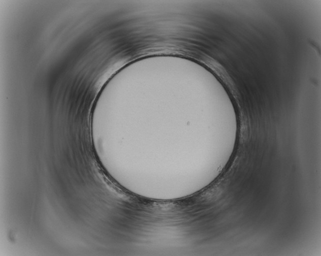 X0000099481242200806061237