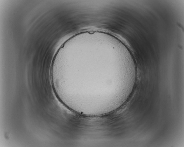 X0000099481247200806061238