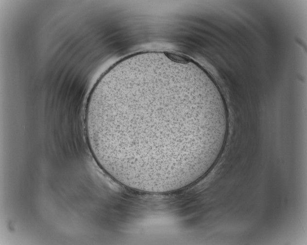 X0000099481248200806061238