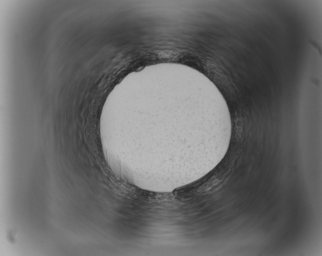 X0000099481249200806061237