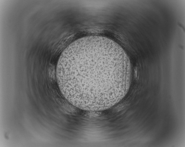 X0000099481251200806061237