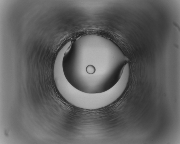 X0000099481252200806061237