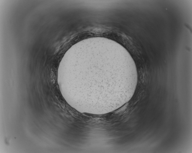 X0000099481253200806061237